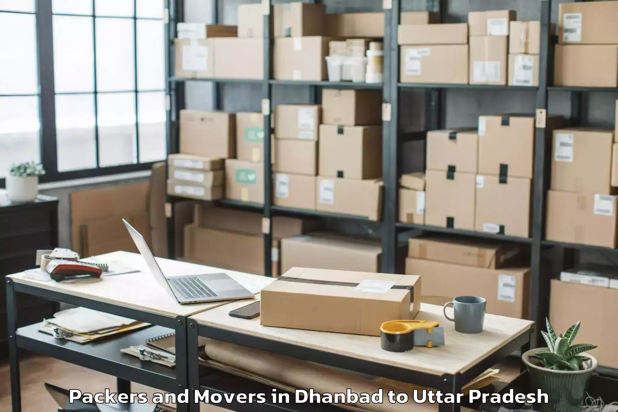 Professional Dhanbad to Naraini Packers And Movers